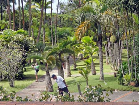 Jardins de Balata, Balata Gardens - Fort-de-France