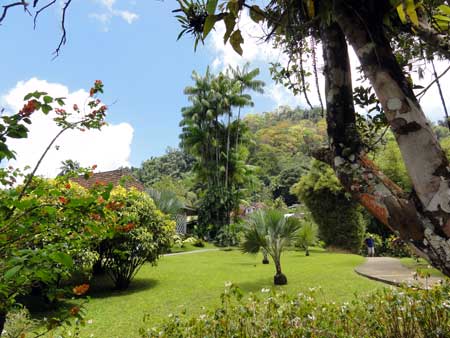 Jardins de Balata, Balata Gardens - Fort-de-France