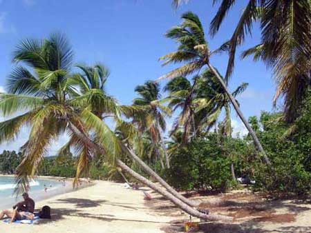 Strand Martinique