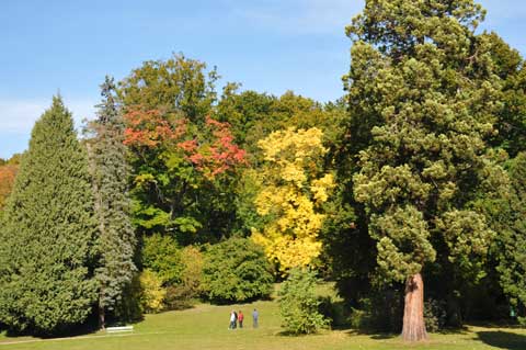 Schlosspark Landschaftspark Altenstein Schweina